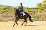 SBM_000363