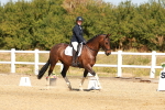 SBM_017905