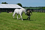 SBM_08084
