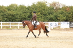 SBM_000640