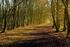The Avenue Tiptree Heath (Out of Stock)