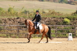 Class 6 - Novice 1 portfolio