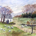 Sheep Grazing