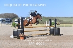 BPP_6004