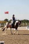 SBM_007005