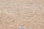 240720A-155210-15376