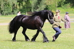 SIAL6245