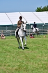SBM_15371