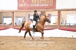 BPP_8536