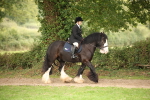 SBM_73435