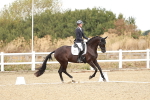 SBM_009596