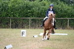 WJ6_0935