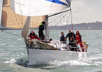 101030 WHITE CLOUD GBR1535R IMG_1781