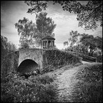 BRIDGE WATCH