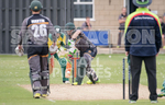 Cricket_Griffins v Irregulars-23
