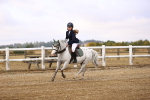 SBM_005424