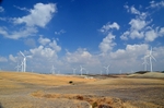 Cadiz province, Andalucia, Spain