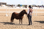 SBM_14103