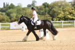 SBM_007831