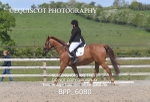 BPP_6080