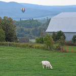 Atlantic International Balloon Festival Sussex New Brunswick Canada