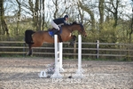 CLASS 15 Senior Foxhunter/ 1.20m Open portfolio
