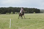 BVHT 140517  NXC -494
