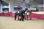 SBM_13135