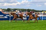 300826-Race 3-Pivotal Voyage-0194