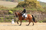 SBM_009924