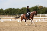 SBM_003879