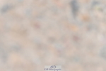 230520A-134830-01415