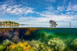 z3905 Above and Below, Bembridge Reef