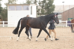 SBM_07626