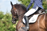 Cls 4 BD Novice 22 portfolio
