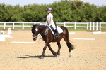 SBM_008237