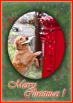 X49 Christmas Post