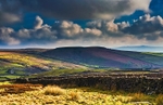 Grassington Moor