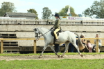 SBM_67542