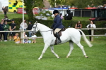 SBM_46825