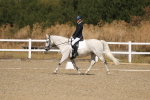 SBM_013567