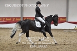 BPP_8932