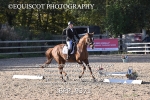BPP_9371