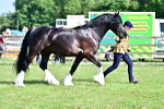 SBM_10022