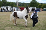 WJ6_5327