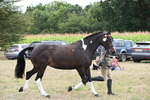 WJ6_6240