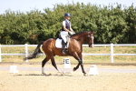 SBM_009378