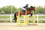 SBM_009346