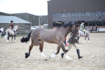 SBM_007272