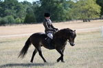 Class 8 Ridden Tack & Turnout portfolio